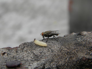 Waiting for his turn