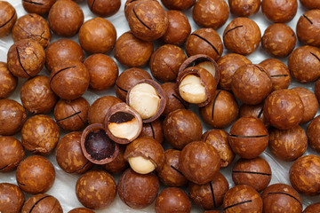 Macadamia nuts on white background. Top view.