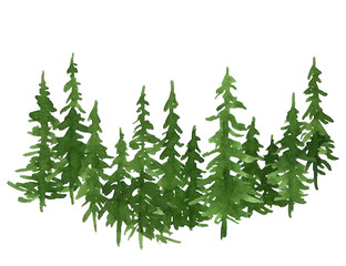 Watercolor green pine trees. Christmas and New Year illustration