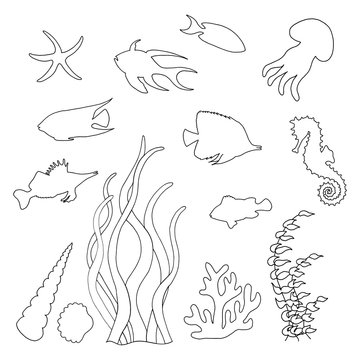 Contours and silhouettes of sea fish for coloring