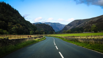 Scenic Road in Scotland