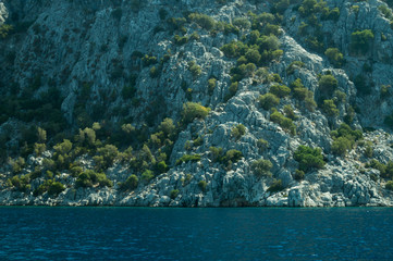 Fototapeta premium Mountain and sea. coastline with the forest and rock background