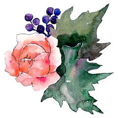 Pink flower. Floral botanical flower. Isolated bouquet composition. Watercolor background illustration set.
