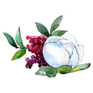 White flower. Floral botanical flower. Isolated bouquet composition. Watercolor background illustration set.