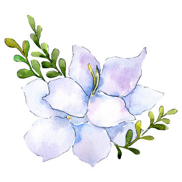 White flower. Floral botanical flower. Isolated bouquet composition. Watercolor background illustration set.