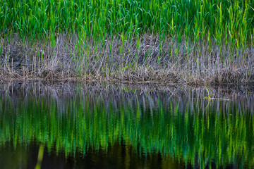 Obraz premium Weiher