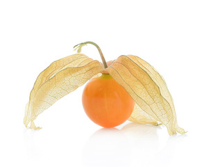 Cape gooseberry (physalis) isolated on white background