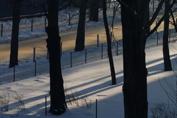 Zima w lesie © Miroslaw