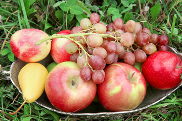 autumn still life. apples, pear and grapes in old bowl