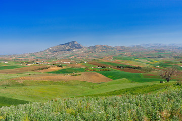 Fototapeta na wymiar view of Sicily landscape