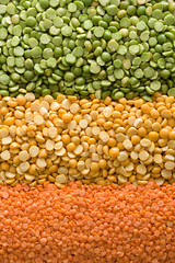 Green, yellow and red lentils