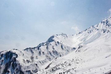 Beautiful scene of  Forest in snow mountain in  japan, panoramic view of tateyama mount