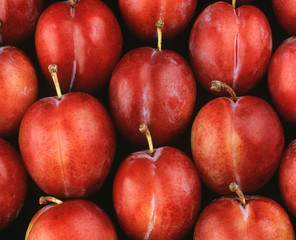 Plums