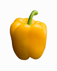 Yellow bell pepper, close-up on white