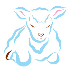Fluffy blue sheep or lamb lying with eyes closed