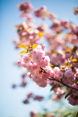 Frühling
