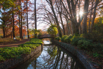 Fototapeta na wymiar Autumn mood at a small bridge in a park. Parc de la Tete d'Or, Lyon, France.