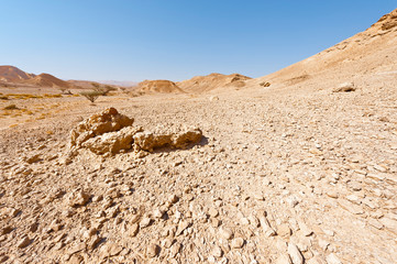 Melancholy and emptiness of the desert in Israel.