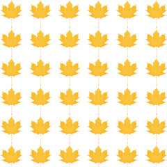 pattern yellow maple leaf bright on white background