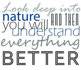 look deep into nature and then you will understand everything better