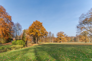 Fürst Pückler Park in Bad Muskau - Fall Impressions