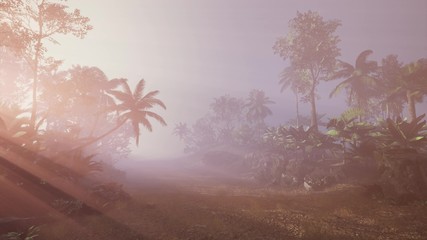 Obraz na płótnie Canvas sunset beams through palm trees at jungle rainforest
