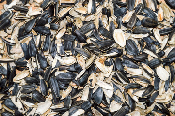 sunflower seed husks