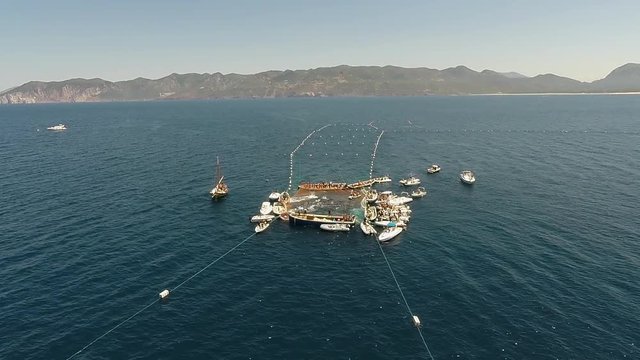 Luftbild vom Thunfischfang mit einer traditionellen Tonnara in Italien