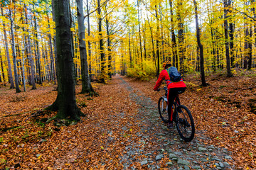 Fototapeta na wymiar Mountain biking woman riding on bike in summer mountains forest landscape. Woman cycling MTB flow trail track. Outdoor sport activity.