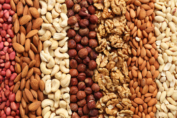 mixed nuts laid out in stripes