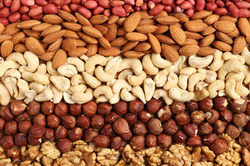 mixed nuts laid out in stripes
