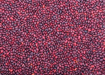 The concept of natural healthy food. Peas closeup