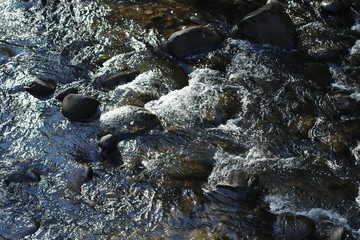 Little River in Borjomi gorge in Georgia