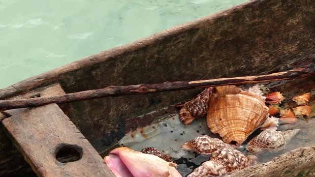 Guna canoe in the San Blas Islands  with seashells inside. 