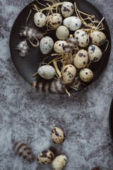 Obraz na płótnie Canvas Quail eggs in a black plate. On a gray background. Top view. Copy space