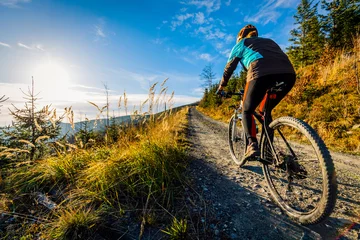 Foto auf Glas Cycling woman riding on bike in autumn mountains forest landscape. Woman cycling MTB flow trail track. Outdoor sport activity. © Gorilla