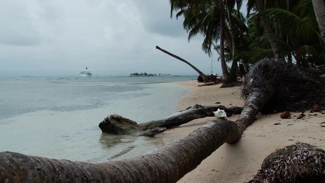 Wide shot of stormy beach and fallen palm tree  in the San Blas Islands