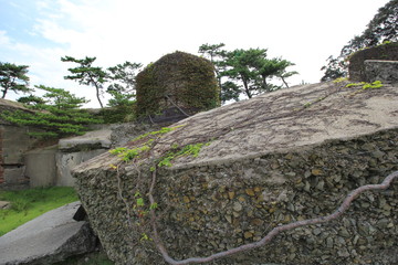 崩壊した歴史的建物