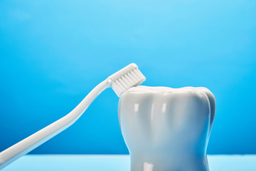 Fototapeta na wymiar close up view of tooth model and toothbrush on blue background, dentistry concept