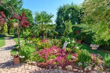 sommerliche Farbenpracht im Garten