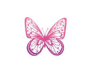 Butterfly. Vector illustration. Elegant butterfly logo for feminine business.