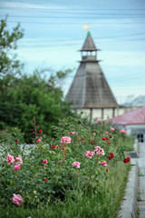 Spring walk in the Astrakhan