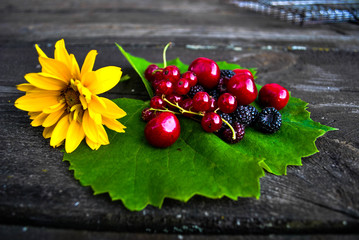 berry, red, fruit, currant, food, leaf, ripe, isolated, green, fresh, cherry, healthy, nature, redcurrant, sweet, branch, white, dessert, berries, bunch, plant, red currant, juicy, closeup, summer