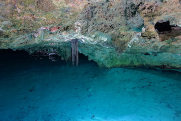 cenote