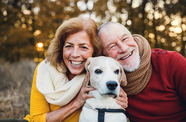 A senior couple with a dog in an autumn nature at sunset.