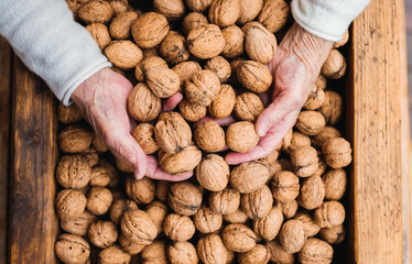 An elderly woman outdoors on a terrace on a sunny day in autumn, holding walnuts.