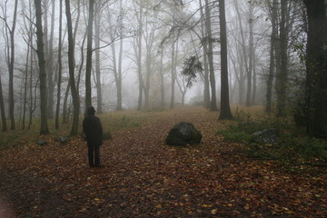 November Nebel
