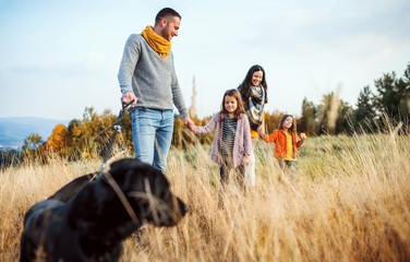 A young family with two small children and a dog on a walk in autumn nature.
