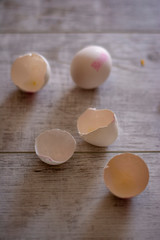 egg and shells, milk bottle