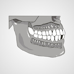 Mandible chin or jaw isolated flat vector image 